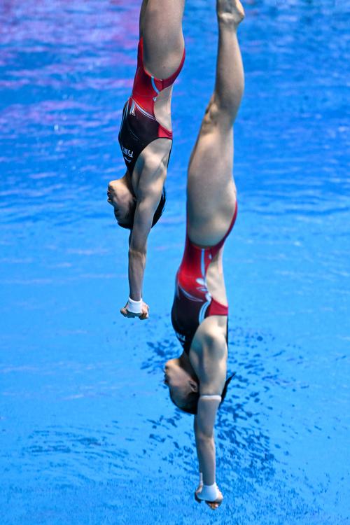 全运会跳水女子十米台双人