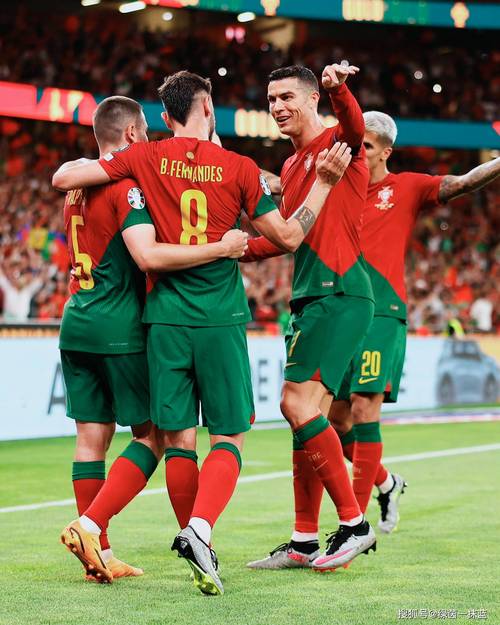 葡萄牙3-0波黑取三连胜的相关图片